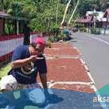 Kualitas Cengkih Kurang Baik, Begini Tanggapan Kadis Pertanian Boltim