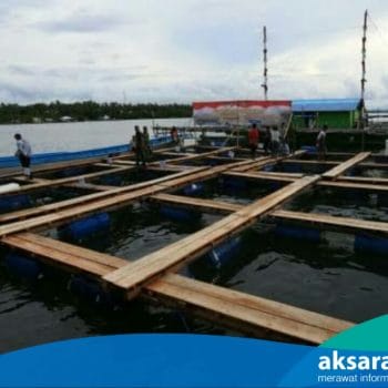 Bantu Kelompok Nelayan Mitra, LPMUKP Siapkan Anggaran 9,5 Milliar