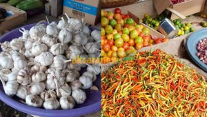 Awal Ramadhan, harga komoditi pangan di Boltim stabil