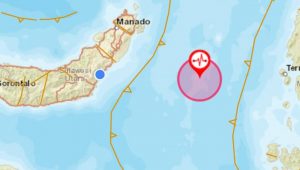 Gempa Bumi terkini di laut Maluku terasa hingga ke daratan Boltim