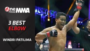 Kalahkan Theodorus Ginting, Windri Patilima juara baru kelas Welterweight MMA One Pride