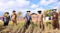 Ketua KTNA Sulsel sebut Bupati Ilham Azikin pejuang pelindung petani