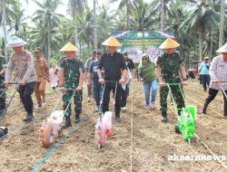 Dukung ketahanan pangan, Bupati Boltim dan Danrem 131/Santiago tanam jagung