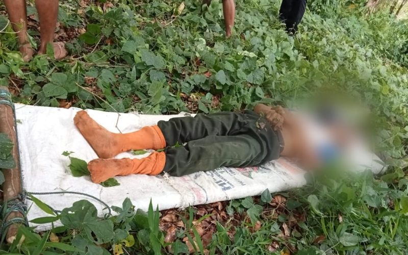 Nahas, warga Insil meninggal di perkebunan Tutuyan usai jatuh dari tangga pohon cengkih