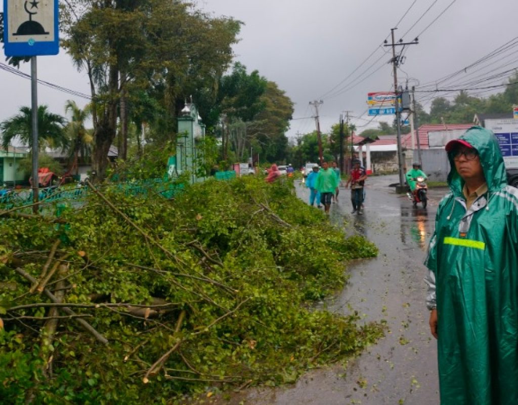 Gerak cepat, Dinas Lingkungan Hidup kota Manado pangkas pohon tumbang di beberapa titik