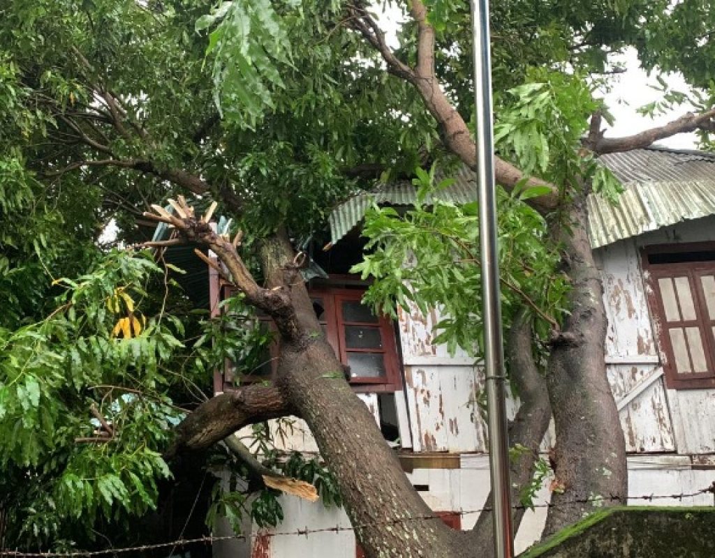 Pohon Tumbang timpah rumah Warga di Dendal, Camat Glenn berjibaku melakukan pembersihan