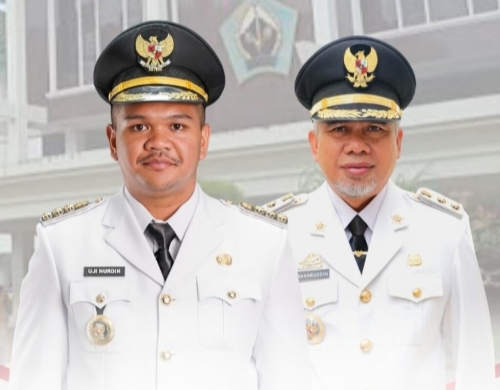 Resmi dilantik Presiden Prabowo, ini Profil Fathul Fauzy Nurdin Bupati Bantaeng termuda di Sulsel