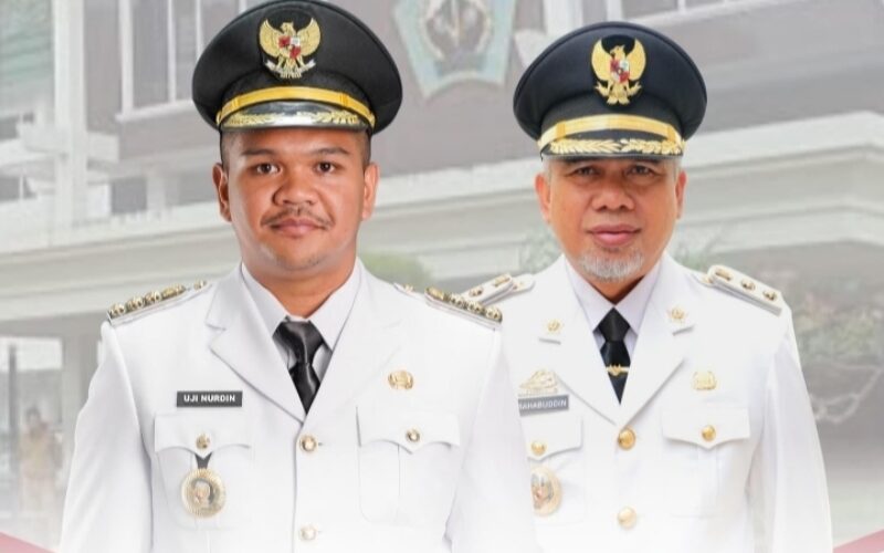 Resmi dilantik Presiden Prabowo, ini Profil Fathul Fauzy Nurdin Bupati Bantaeng termuda di Sulsel