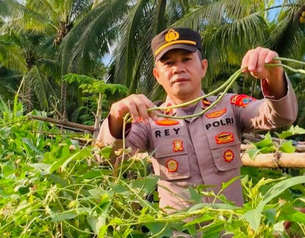 Ketahanan Pangan