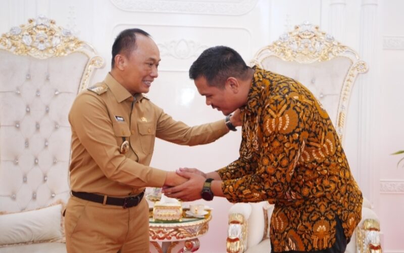 Guna Efisiensi Anggaran, Penjabat Bupati Bantaeng hadiri rapat koordinasi dan entry