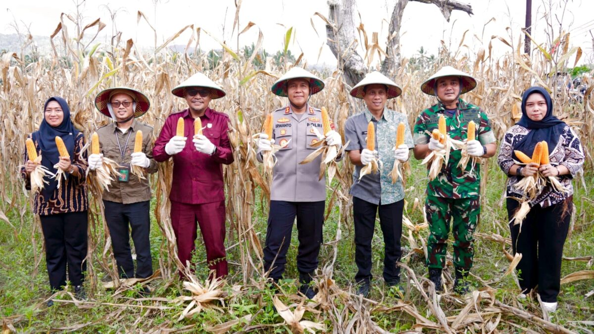 Panen raya jagung di Kotamobagu, Wali Kota apresiasi peran Polri