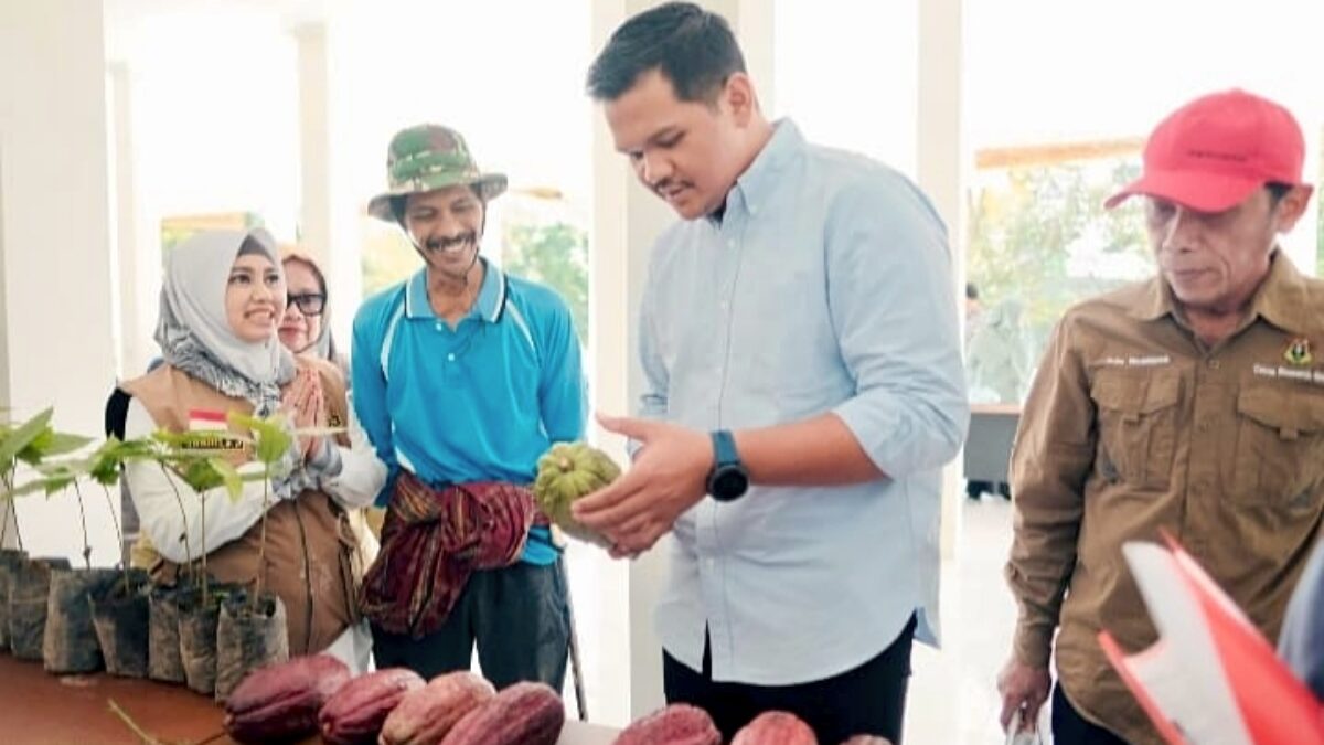 Bupati Fathul Fauzy Nurdin Hidupkan Lagi Kejayaan Kakao di Bantaeng