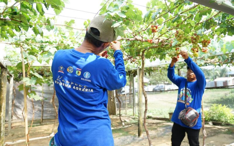 Reforma Agraria Ubah Wajah Desa Duyu Kota Palu