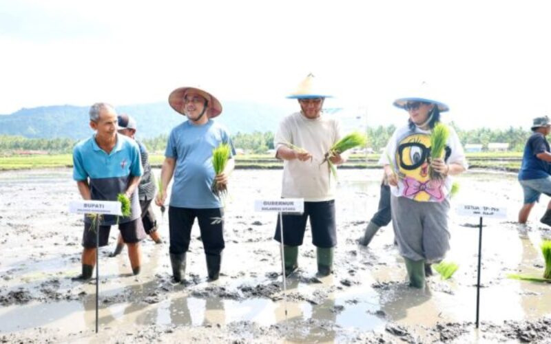 Sinergi Pemprov Sulut–Pemkab Bolmong Perkuat Sektor Pertanian Lewat Tanam Padi