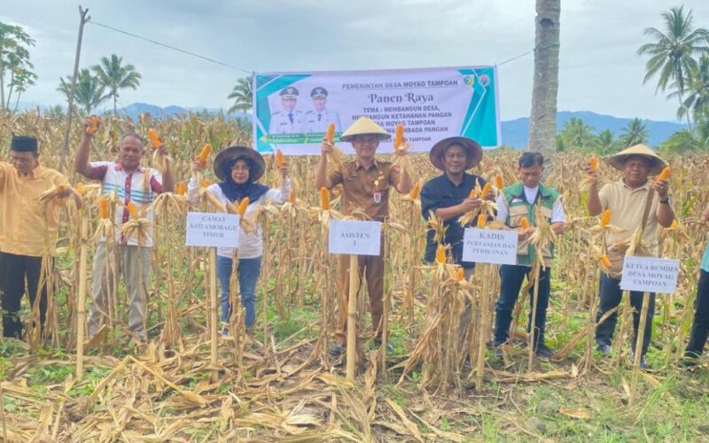 Pemkot Kotamobagu Apresiasi Panen Raya Jagung Desa Moyag Tampoan