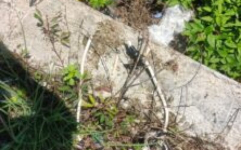 Pencurian Kabel Penyebab Utama Sering Padamnya Lampu Jalan di CBD Pulau Morotai