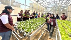 Unhas Visitasi PPK Ormawa 2026 di Desa Tinggimae Gowa