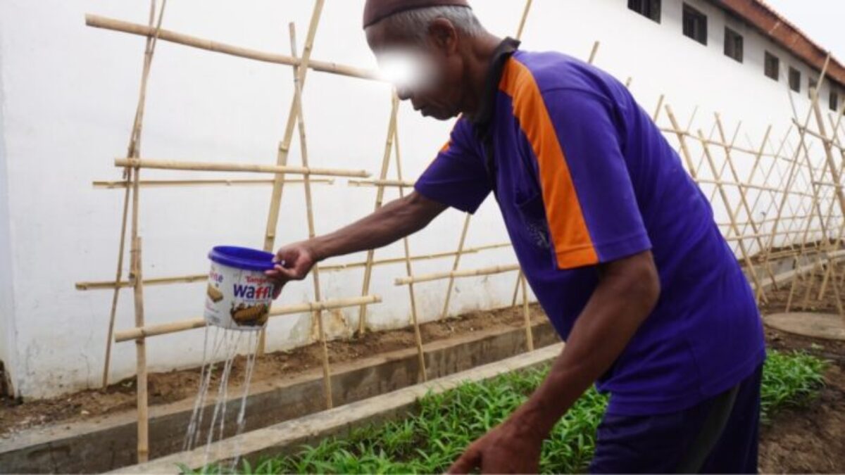 Dari Sejumput Tanah ,Tumbuh Kemandirian Program Pembinaan Tanam Aneka Sayuran di Rutan Pemalang