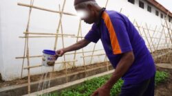 Dari Sejumput Tanah ,Tumbuh Kemandirian Program Pembinaan Tanam Aneka Sayuran di Rutan Pemalang