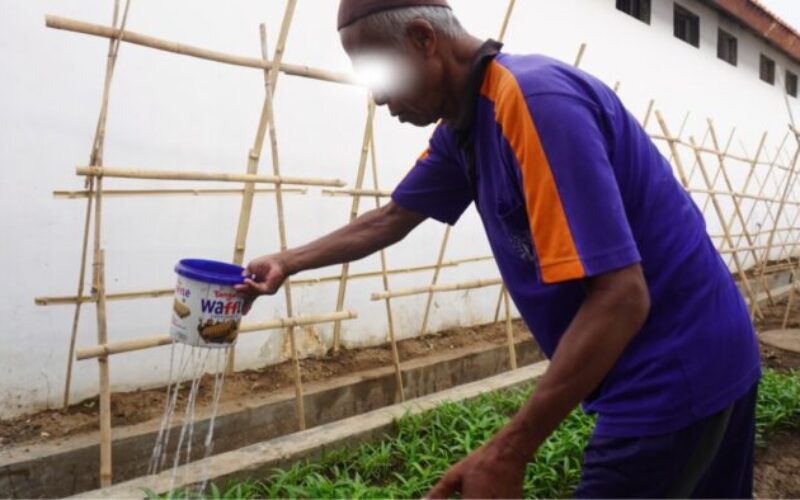Dari Sejumput Tanah ,Tumbuh Kemandirian Program Pembinaan Tanam Aneka Sayuran di Rutan Pemalang