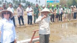 Tanam Padi Serentak PM-AAS, Bolmong Perkuat Program Ketahanan Pangan
