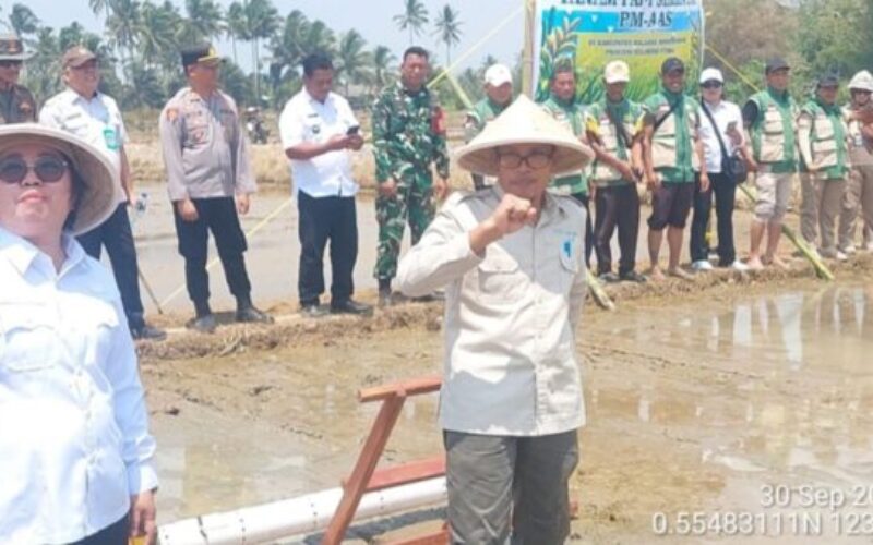 Tanam Padi Serentak PM-AAS, Bolmong Perkuat Program Ketahanan Pangan
